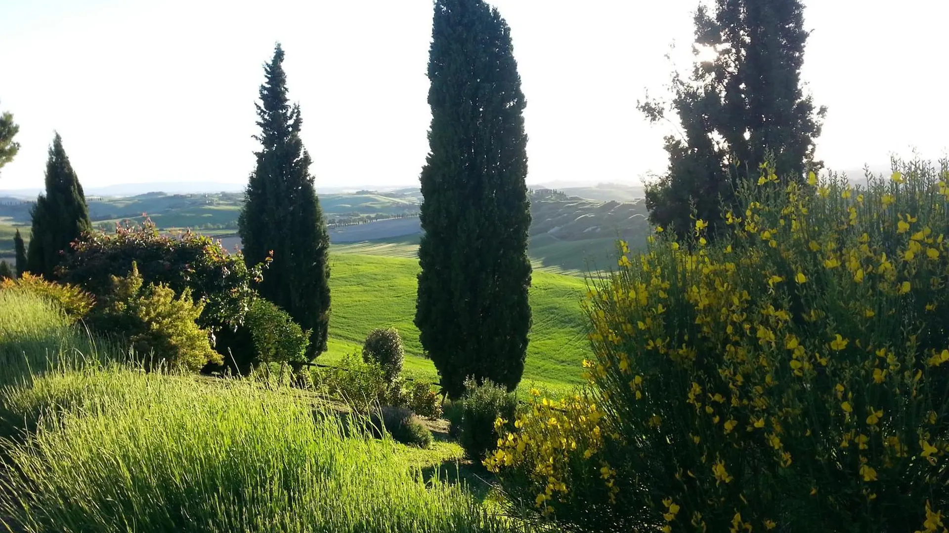 Апартаменты Tuscany Balcony: Crete Senesi Касетта